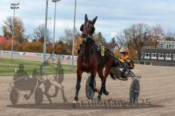 Dateiname=20251026_r06_015_R06_0101.jpg
Dateigröße=305KB
Abmessungen: 1000x667
hinzugefügt am: 28. Oktober 2025 20251026_r06_015_R06_0101.jpg