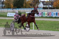 Dateiname=20251026_r06_016_R06_0105.jpg
Dateigröße=298KB
Abmessungen: 1000x667
hinzugefügt am: 28. Oktober 2025 20251026_r06_016_R06_0105.jpg