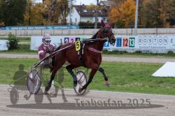 Dateiname=20251026_r06_017_R06_0108.jpg
Dateigröße=299KB
Abmessungen: 1000x667
hinzugefügt am: 28. Oktober 2025 20251026_r06_017_R06_0108.jpg