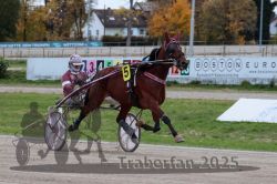 Dateiname=20251026_r06_018_R06_0109.jpg
Dateigröße=299KB
Abmessungen: 1000x667
hinzugefügt am: 28. Oktober 2025 20251026_r06_018_R06_0109.jpg