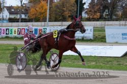 Dateiname=20251026_r06_019_R06_0112.jpg
Dateigröße=298KB
Abmessungen: 1000x667
hinzugefügt am: 28. Oktober 2025 20251026_r06_019_R06_0112.jpg