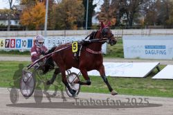 Dateiname=20251026_r06_020_R06_0113.jpg
Dateigröße=293KB
Abmessungen: 1000x667
hinzugefügt am: 28. Oktober 2025 20251026_r06_020_R06_0113.jpg