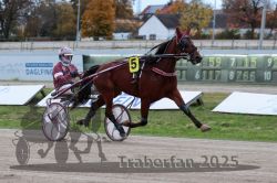 Dateiname=20251026_r06_022_R06_0120.jpg
Dateigröße=291KB
Abmessungen: 1000x667
hinzugefügt am: 28. Oktober 2025 20251026_r06_022_R06_0120.jpg