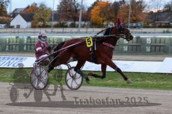 Dateiname=20251026_r06_023_R06_0124.jpg
Dateigröße=293KB
Abmessungen: 1000x667
hinzugefügt am: 28. Oktober 2025 20251026_r06_023_R06_0124.jpg