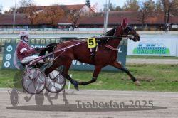 Dateiname=20251026_r06_026_R06_0135.jpg
Dateigröße=298KB
Abmessungen: 1000x667
hinzugefügt am: 28. Oktober 2025 20251026_r06_026_R06_0135.jpg