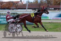 Dateiname=20251026_r06_027_R06_0136.jpg
Dateigröße=296KB
Abmessungen: 1000x667
hinzugefügt am: 28. Oktober 2025 20251026_r06_027_R06_0136.jpg