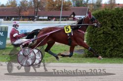 Dateiname=20251026_r06_028_R06_0139.jpg
Dateigröße=287KB
Abmessungen: 1000x667
hinzugefügt am: 28. Oktober 2025 20251026_r06_028_R06_0139.jpg