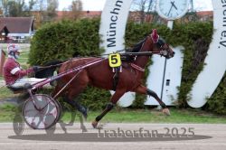 Dateiname=20251026_r06_029_R06_0142.jpg
Dateigröße=299KB
Abmessungen: 1000x667
hinzugefügt am: 28. Oktober 2025 20251026_r06_029_R06_0142.jpg