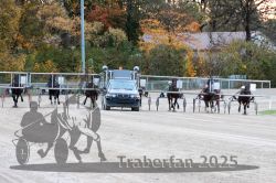 Dateiname=20251026_r06_030_R06_0146.jpg
Dateigröße=373KB
Abmessungen: 1000x667
hinzugefügt am: 28. Oktober 2025 20251026_r06_030_R06_0146.jpg