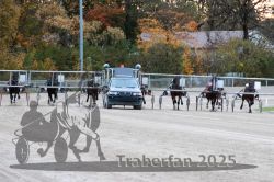 Dateiname=20251026_r06_031_R06_0152.jpg
Dateigröße=347KB
Abmessungen: 1000x667
hinzugefügt am: 28. Oktober 2025 20251026_r06_031_R06_0152.jpg