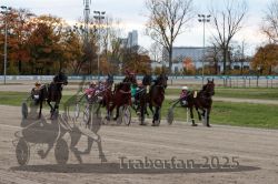 Dateiname=20251026_r06_032_R06_0155.jpg
Dateigröße=350KB
Abmessungen: 1000x667
hinzugefügt am: 28. Oktober 2025 20251026_r06_032_R06_0155.jpg