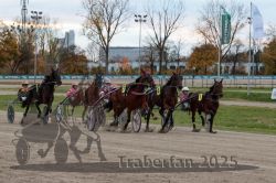 Dateiname=20251026_r06_034_R06_0162.jpg
Dateigröße=342KB
Abmessungen: 1000x667
hinzugefügt am: 28. Oktober 2025 20251026_r06_034_R06_0162.jpg