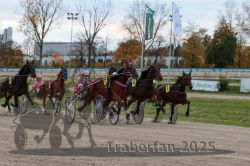 Dateiname=20251026_r06_035_R06_0166.jpg
Dateigröße=317KB
Abmessungen: 1000x667
hinzugefügt am: 28. Oktober 2025 20251026_r06_035_R06_0166.jpg