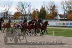 Dateiname=20251026_r06_036_R06_0170.jpg
Dateigröße=341KB
Abmessungen: 1000x667
hinzugefügt am: 28. Oktober 2025 20251026_r06_036_R06_0170.jpg