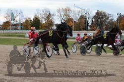 Dateiname=20251026_r06_037_R06_0176.jpg
Dateigröße=321KB
Abmessungen: 1000x667
hinzugefügt am: 28. Oktober 2025 20251026_r06_037_R06_0176.jpg