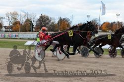 Dateiname=20251026_r06_039_R06_0182.jpg
Dateigröße=291KB
Abmessungen: 1000x667
hinzugefügt am: 28. Oktober 2025 20251026_r06_039_R06_0182.jpg