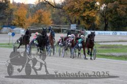 Dateiname=20251026_r06_043_R06_0208.jpg
Dateigröße=314KB
Abmessungen: 1000x667
hinzugefügt am: 28. Oktober 2025 20251026_r06_043_R06_0208.jpg