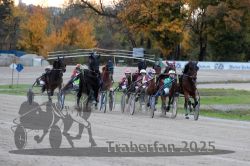 Dateiname=20251026_r06_044_R06_0211.jpg
Dateigröße=313KB
Abmessungen: 1000x667
hinzugefügt am: 28. Oktober 2025 20251026_r06_044_R06_0211.jpg