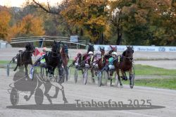 Dateiname=20251026_r06_045_R06_0215.jpg
Dateigröße=329KB
Abmessungen: 1000x667
hinzugefügt am: 28. Oktober 2025 20251026_r06_045_R06_0215.jpg