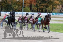 Dateiname=20251026_r06_047_R06_0227.jpg
Dateigröße=328KB
Abmessungen: 1000x667
hinzugefügt am: 28. Oktober 2025 20251026_r06_047_R06_0227.jpg