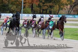 Dateiname=20251026_r06_048_R06_0230.jpg
Dateigröße=322KB
Abmessungen: 1000x667
hinzugefügt am: 28. Oktober 2025 20251026_r06_048_R06_0230.jpg