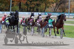 Dateiname=20251026_r06_049_R06_0234.jpg
Dateigröße=327KB
Abmessungen: 1000x667
hinzugefügt am: 28. Oktober 2025 20251026_r06_049_R06_0234.jpg