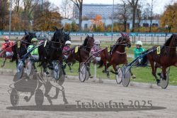 Dateiname=20251026_r06_050_R06_0241.jpg
Dateigröße=339KB
Abmessungen: 1000x667
hinzugefügt am: 28. Oktober 2025 20251026_r06_050_R06_0241.jpg