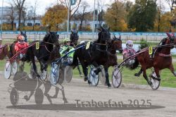 Dateiname=20251026_r06_051_R06_0245.jpg
Dateigröße=346KB
Abmessungen: 1000x667
hinzugefügt am: 28. Oktober 2025 20251026_r06_051_R06_0245.jpg