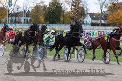 Dateiname=20251026_r06_052_R06_0250.jpg
Dateigröße=344KB
Abmessungen: 1000x667
hinzugefügt am: 28. Oktober 2025 20251026_r06_052_R06_0250.jpg