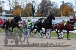 Dateiname=20251026_r06_054_R06_0258.jpg
Dateigröße=353KB
Abmessungen: 1000x667
hinzugefügt am: 28. Oktober 2025 20251026_r06_054_R06_0258.jpg