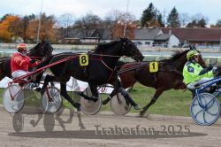 Dateiname=20251026_r06_056_R06_0266.jpg
Dateigröße=300KB
Abmessungen: 1000x667
hinzugefügt am: 28. Oktober 2025 20251026_r06_056_R06_0266.jpg