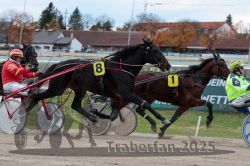 Dateiname=20251026_r06_057_R06_0269.jpg
Dateigröße=301KB
Abmessungen: 1000x667
hinzugefügt am: 28. Oktober 2025 20251026_r06_057_R06_0269.jpg