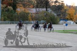 Dateiname=20251026_r06_058_R06_0273.jpg
Dateigröße=327KB
Abmessungen: 1000x667
hinzugefügt am: 28. Oktober 2025 20251026_r06_058_R06_0273.jpg