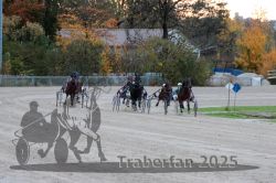 Dateiname=20251026_r06_059_R06_0277.jpg
Dateigröße=328KB
Abmessungen: 1000x667
hinzugefügt am: 28. Oktober 2025 20251026_r06_059_R06_0277.jpg