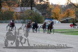 Dateiname=20251026_r06_060_R06_0281.jpg
Dateigröße=322KB
Abmessungen: 1000x667
hinzugefügt am: 28. Oktober 2025 20251026_r06_060_R06_0281.jpg