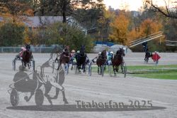 Dateiname=20251026_r06_061_R06_0286.jpg
Dateigröße=322KB
Abmessungen: 1000x667
hinzugefügt am: 28. Oktober 2025 20251026_r06_061_R06_0286.jpg