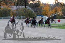 Dateiname=20251026_r06_062_R06_0290.jpg
Dateigröße=329KB
Abmessungen: 1000x667
hinzugefügt am: 28. Oktober 2025 20251026_r06_062_R06_0290.jpg