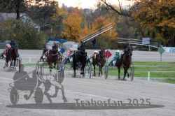 Dateiname=20251026_r06_063_R06_0295.jpg
Dateigröße=320KB
Abmessungen: 1000x667
hinzugefügt am: 28. Oktober 2025 20251026_r06_063_R06_0295.jpg