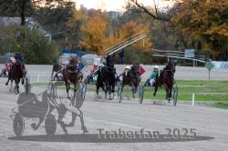 Dateiname=20251026_r06_064_R06_0296.jpg
Dateigröße=325KB
Abmessungen: 1000x667
hinzugefügt am: 28. Oktober 2025 20251026_r06_064_R06_0296.jpg