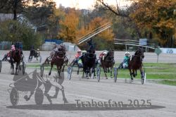 Dateiname=20251026_r06_065_R06_0300.jpg
Dateigröße=315KB
Abmessungen: 1000x667
hinzugefügt am: 28. Oktober 2025 20251026_r06_065_R06_0300.jpg