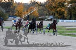 Dateiname=20251026_r06_066_R06_0304.jpg
Dateigröße=304KB
Abmessungen: 1000x667
hinzugefügt am: 28. Oktober 2025 20251026_r06_066_R06_0304.jpg