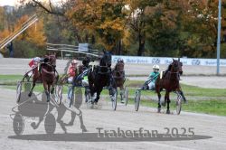 Dateiname=20251026_r06_067_R06_0309.jpg
Dateigröße=329KB
Abmessungen: 1000x667
hinzugefügt am: 28. Oktober 2025 20251026_r06_067_R06_0309.jpg