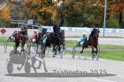 Dateiname=20251026_r06_068_R06_0314.jpg
Dateigröße=326KB
Abmessungen: 1000x667
hinzugefügt am: 28. Oktober 2025 20251026_r06_068_R06_0314.jpg