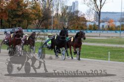 Dateiname=20251026_r06_069_R06_0321.jpg
Dateigröße=317KB
Abmessungen: 1000x667
hinzugefügt am: 28. Oktober 2025 20251026_r06_069_R06_0321.jpg