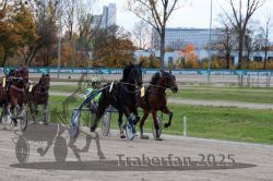 Dateiname=20251026_r06_070_R06_0325.jpg
Dateigröße=337KB
Abmessungen: 1000x667
hinzugefügt am: 28. Oktober 2025 20251026_r06_070_R06_0325.jpg