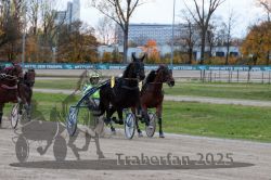 Dateiname=20251026_r06_071_R06_0328.jpg
Dateigröße=325KB
Abmessungen: 1000x667
hinzugefügt am: 28. Oktober 2025 20251026_r06_071_R06_0328.jpg