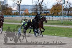 Dateiname=20251026_r06_072_R06_0332.jpg
Dateigröße=318KB
Abmessungen: 1000x667
hinzugefügt am: 28. Oktober 2025 20251026_r06_072_R06_0332.jpg