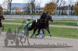 Dateiname=20251026_r06_073_R06_0335.jpg
Dateigröße=319KB
Abmessungen: 1000x667
hinzugefügt am: 28. Oktober 2025 20251026_r06_073_R06_0335.jpg