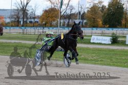 Dateiname=20251026_r06_074_R06_0339.jpg
Dateigröße=304KB
Abmessungen: 1000x667
hinzugefügt am: 28. Oktober 2025 20251026_r06_074_R06_0339.jpg