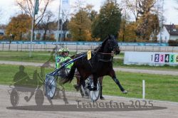 Dateiname=20251026_r06_075_R06_0343.jpg
Dateigröße=313KB
Abmessungen: 1000x667
hinzugefügt am: 28. Oktober 2025 20251026_r06_075_R06_0343.jpg